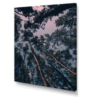 Art DesignArt Магически пейзаж с борово дърво и драматично небе тропическо платно отпечатък с стена.